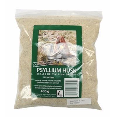 PSYLLIUM HUSK - 400g