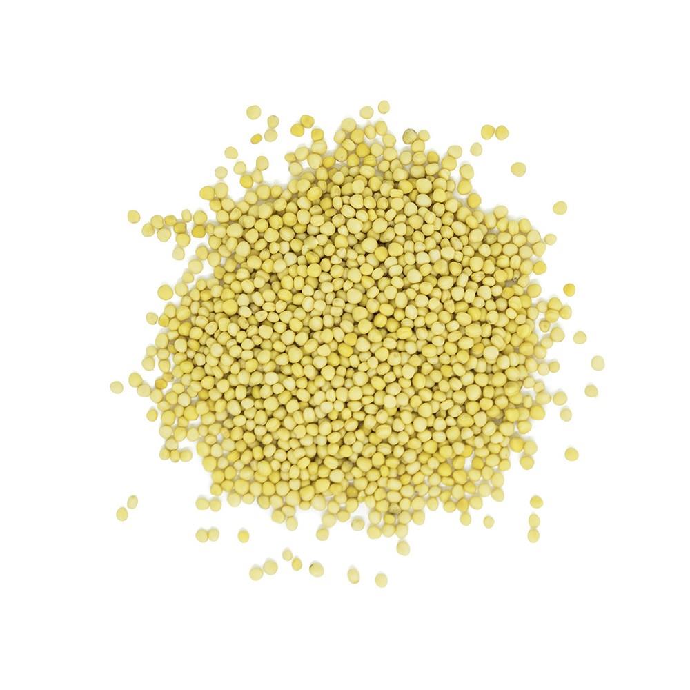 MUSTARD SEED ORGANIC - 50g