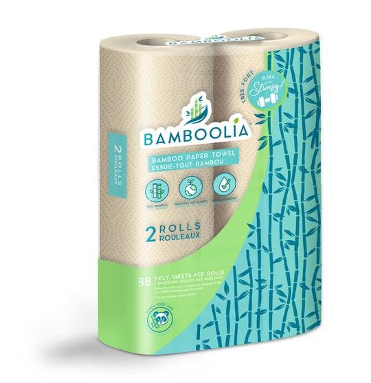 PAPER TOWEL - 2 ROLLS