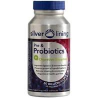 PRE & PROBIOTICS + DIGESTIVE ENZYMES - 120 CAPSULES