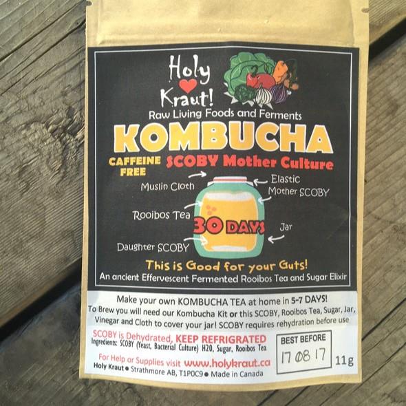 KOMBUCHA SCOBY - 11g