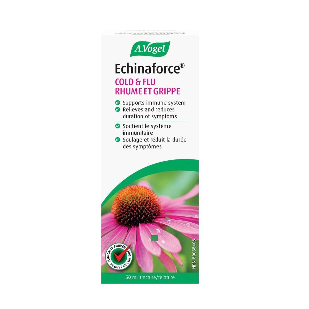 ECHINAFORCE TINCTURE - 50ml