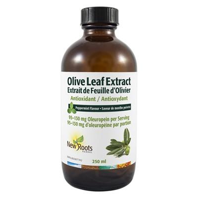NR OLIVE LEAF EXTRACT 250ML