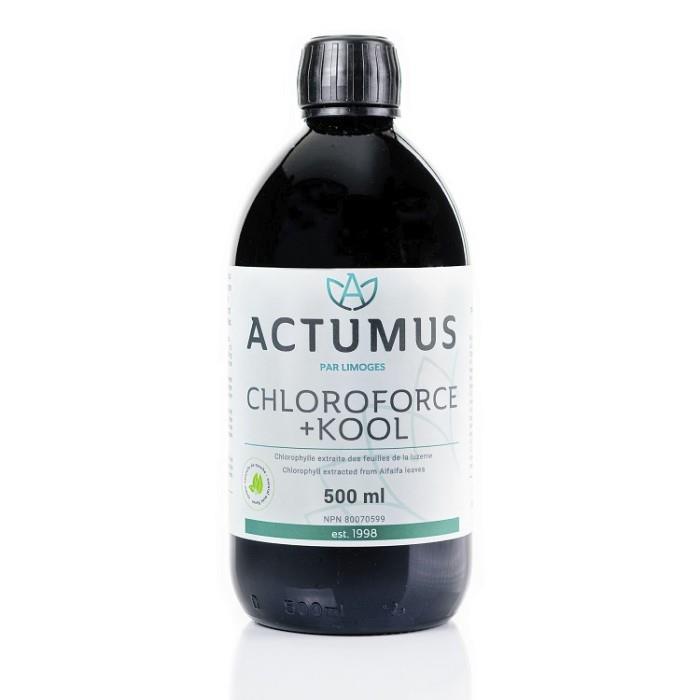CHLOROFORCE + KOOL MINT - 500ml