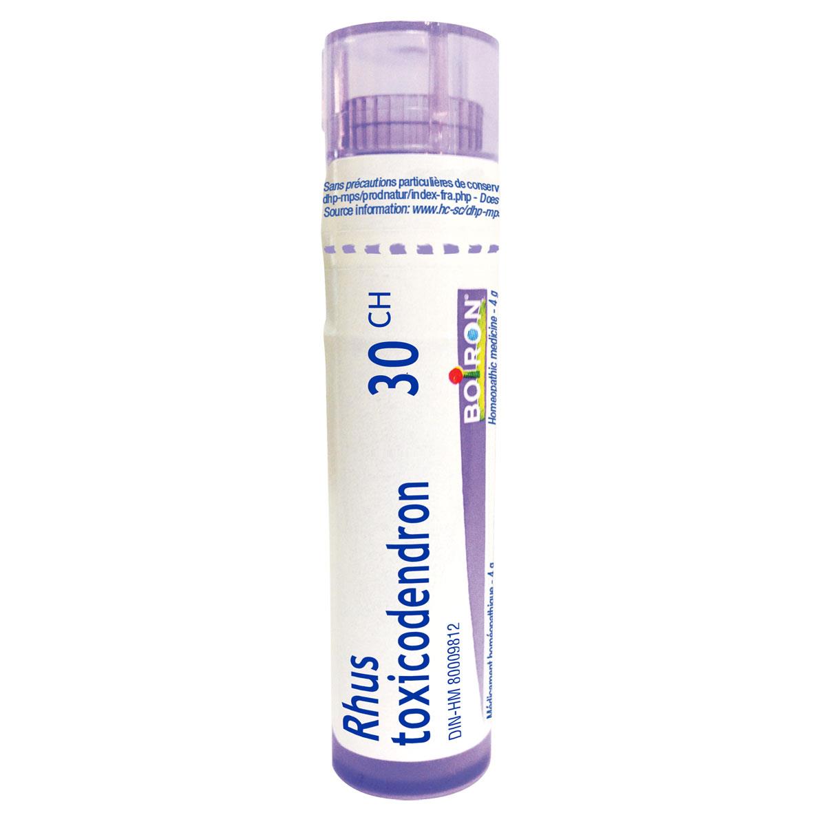 Rhus Toxicodendron 30ch / 80 granules