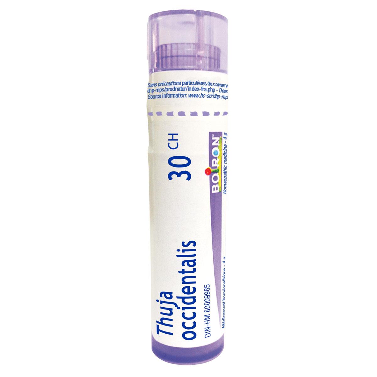 Thuja Occidentalis 30ch / 80 granules
