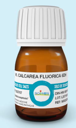 BOIRON #1 CALC FLUOR 6DH SCHUS 240 TAB
