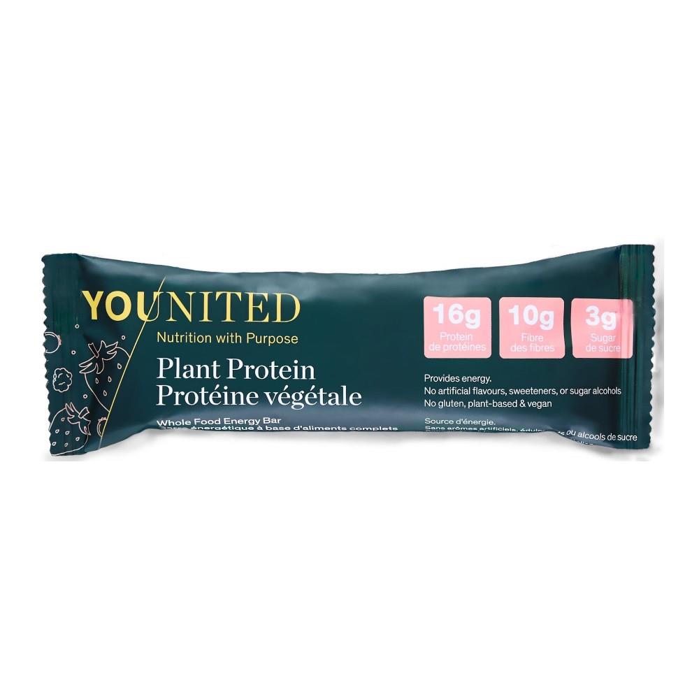 PLANT PROTEIN BAR - BERRY / 60g