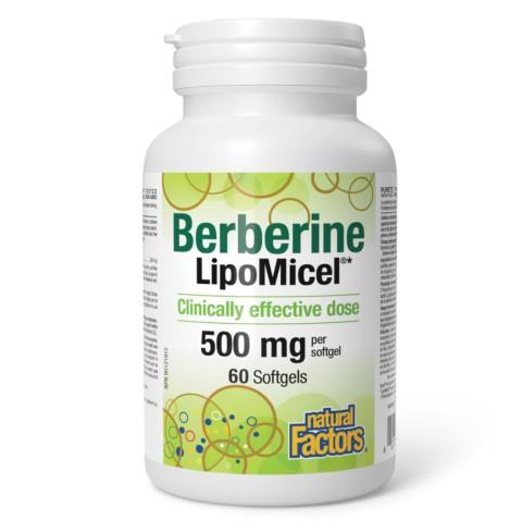 NF BERBERINE LIPOMICEL 500mg / 60 SGELS