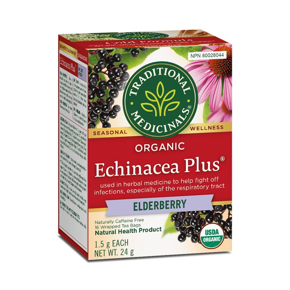 TRADITIONAL MEDICINALS TEA ECHINACEA PLUS ELDERBERRY - 16 TEA BAGS
