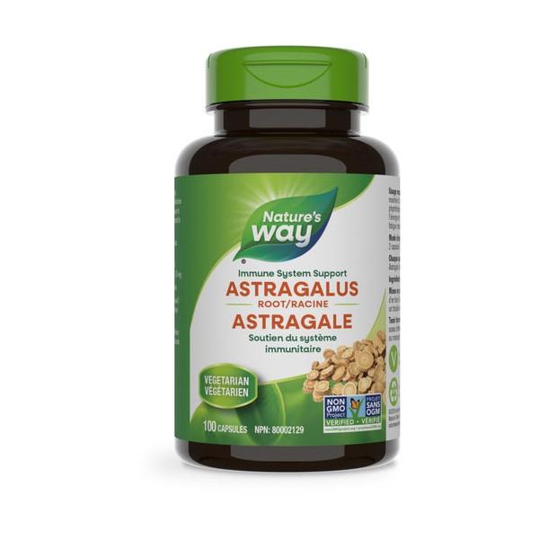 Astragalus Root, 470mg - 100 Vegetarian Caps