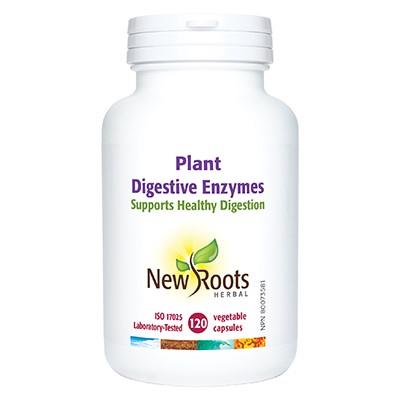 NR PLANT DIGESTIVE ENZYMES 375MG 120CAPS