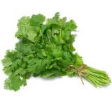 Cilantro per Bunch