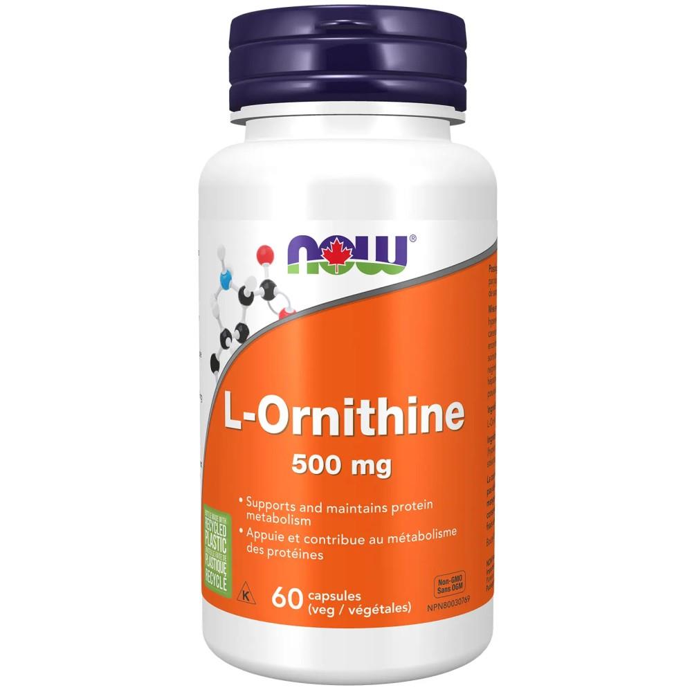 L-Ornithine - 500mg / 60caps