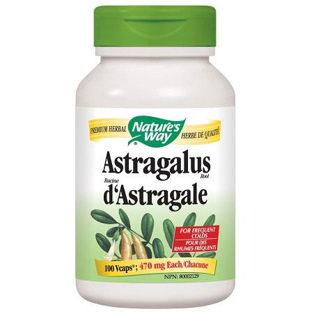 Nature's Way Astragalus Root, 470mg - 100 VCaps - Homegrown Foods, Stony Plain