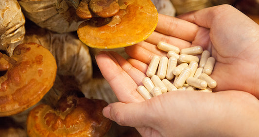 The Healing Power of Medicinal Mushrooms