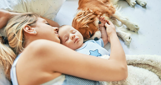 How to Sleep Soundly this September