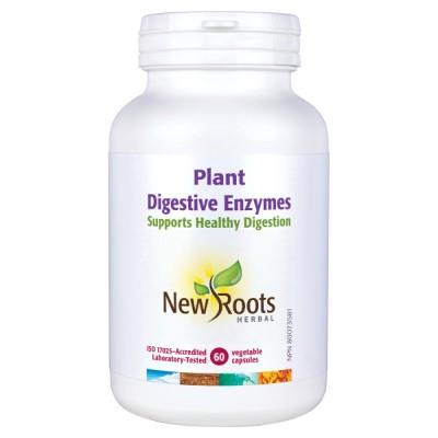 NR PLANT DIGESTIVE ENZYMES - 60 VCAPS
