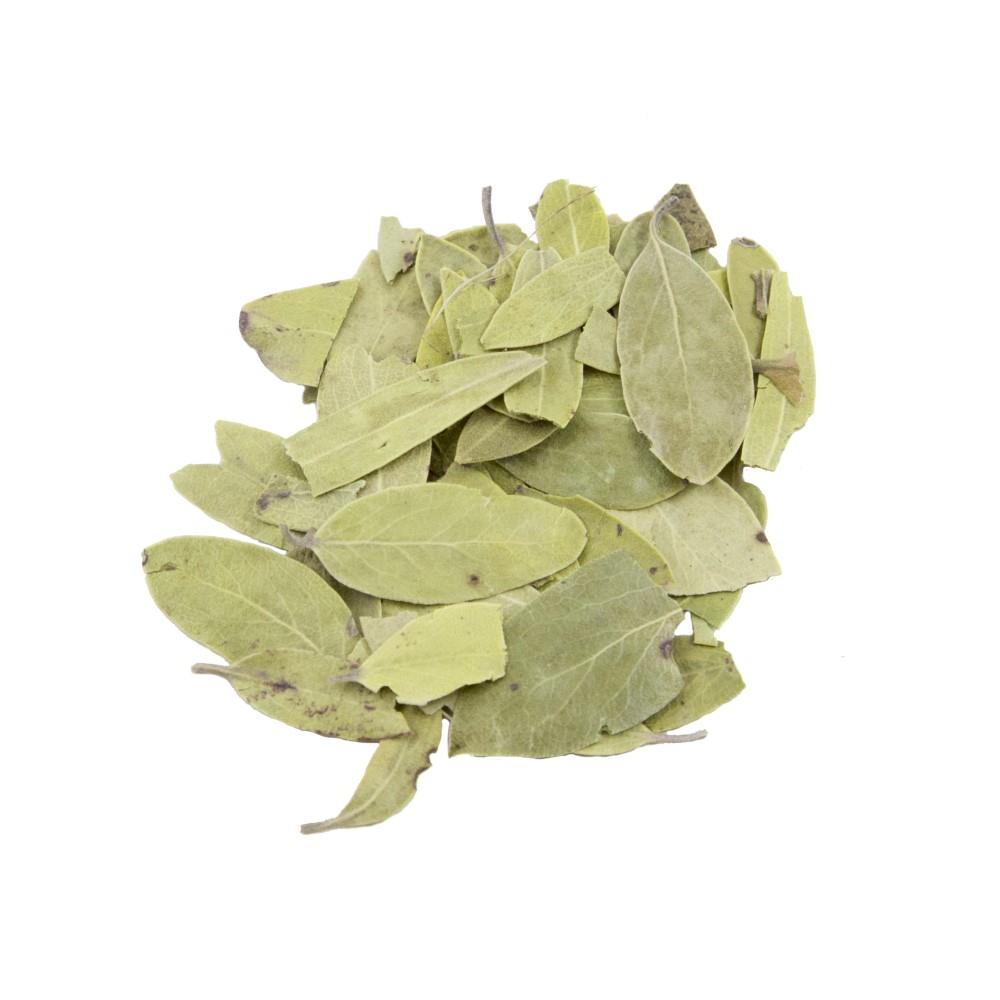 UVA URSI - 100g