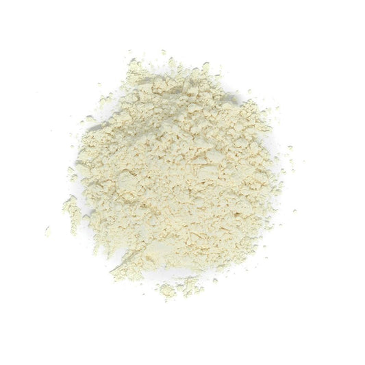 GARLIC POWDER ORGANIC - 100g