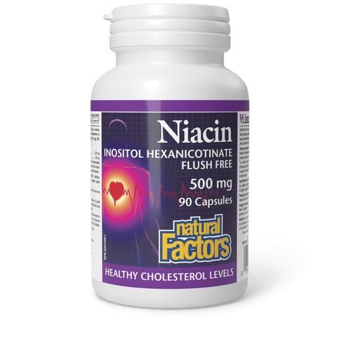 Niacin (Vitamin B3) Flush Free, 500mg - 90 Caps