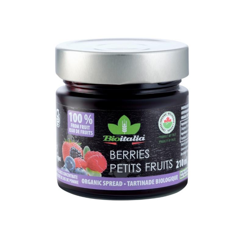 BERRY SPREAD - 210ml