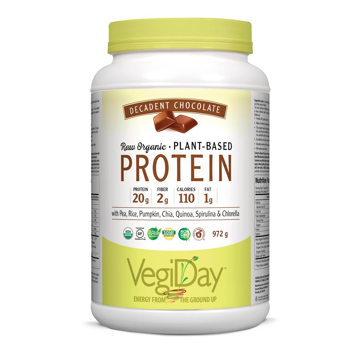 VEGIDAY PROTEIN RAW CHOCOLATE