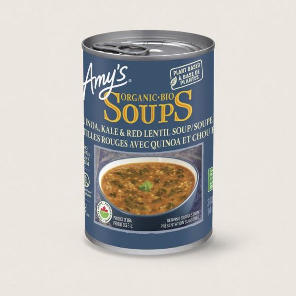 ORGANIC QUINOA, KALE, & RED LENTIL SOUP - 398ml