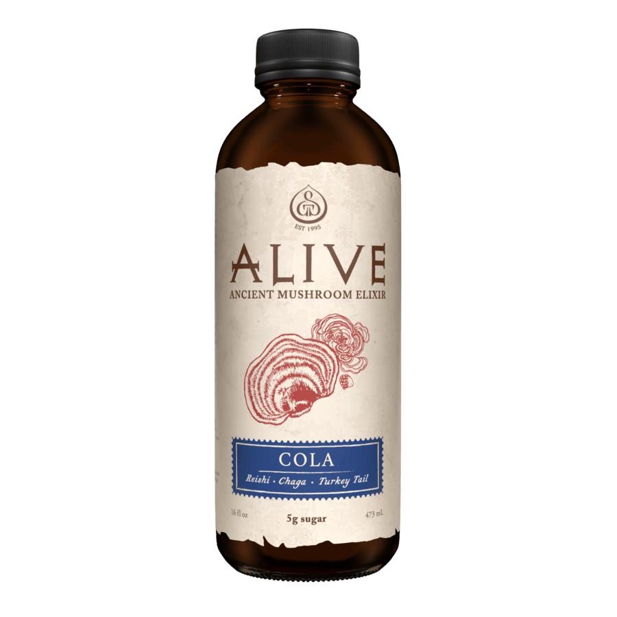 GT'S ALIVE MUSHROOM ELIXIR  COLA / 480ML