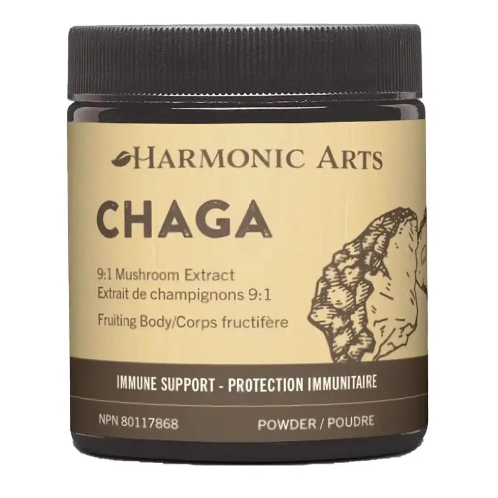 HARMONIC ARTS CHAGA POWDER 45G