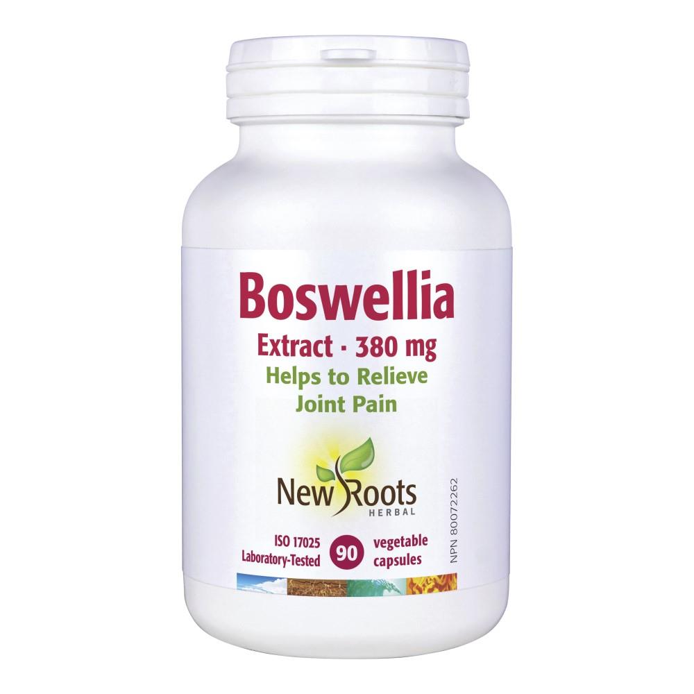 NR BOSWELLIA EXTRACT 380mg / 90 VCAPS