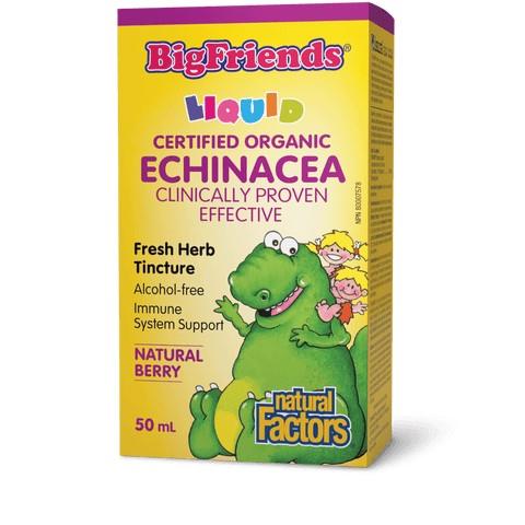 NF BIGFRIENDS ECHINACEA TINCT BERRY / 50ml