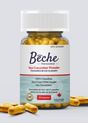 BECHE WILD SEA CUCUMBER POWDER 30 CAPS