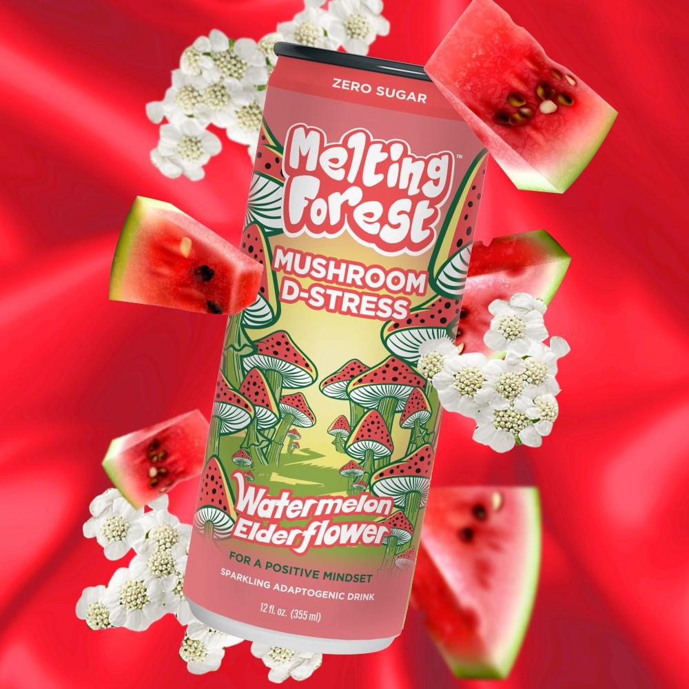 MUSHROOM CHILL - WATERMELON ELDERFLOWER / 355ml