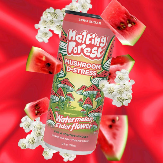 MUSHROOM CHILL - WATERMELON ELDERFLOWER / 355ml
