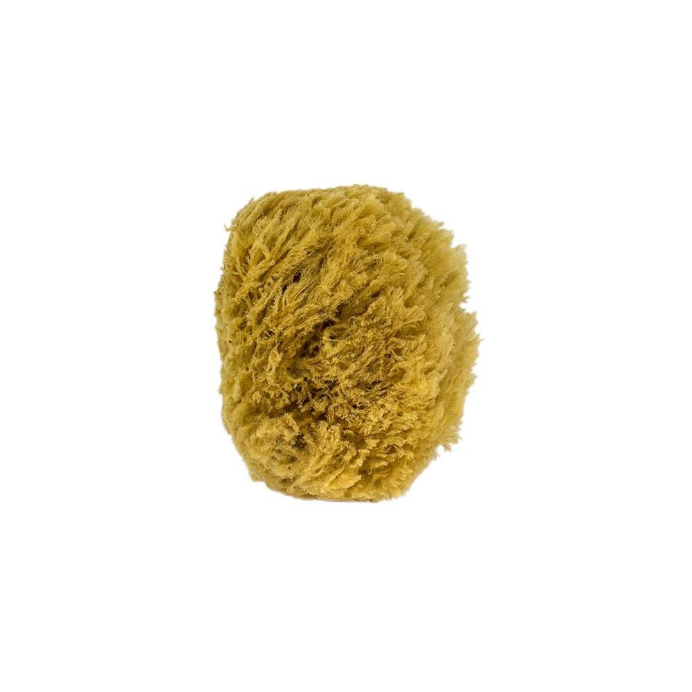 Urban Spa Sea Sponge