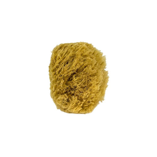 Urban Spa Sea Sponge