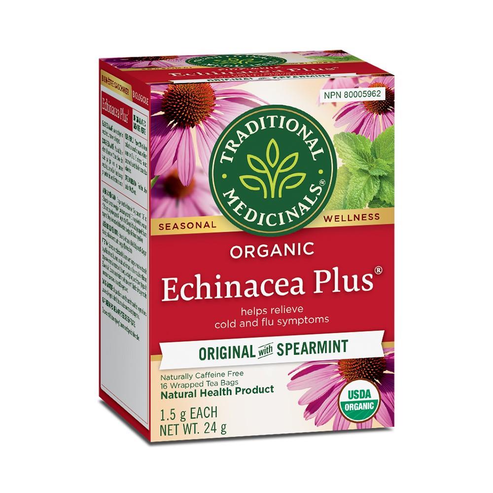TRADITIONAL MEDICINALS TEA ECHINACEA PLUS SPEARMINT - 16 TEA BAGS