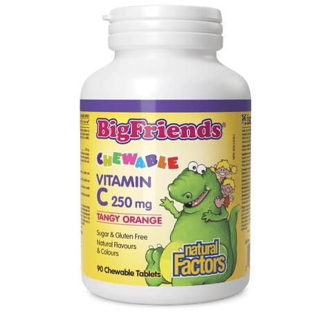 Big Freinds 250 mg Vitamin C - 90 Chewables (Orange)