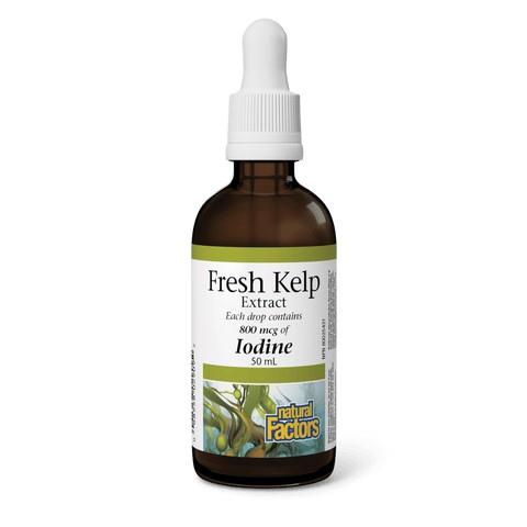 Fresh Kelp Extract Iodine, 800mcg / 50ml