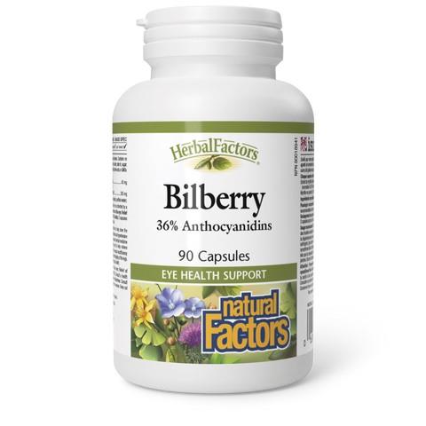 Bilberry (25% Anthocyanidins), 40mg, 90 Caps