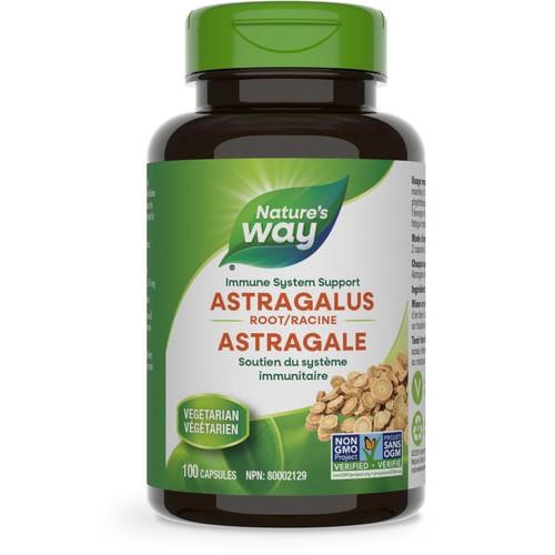 Astragalus Root, 470mg - 100 Vegetarian Caps