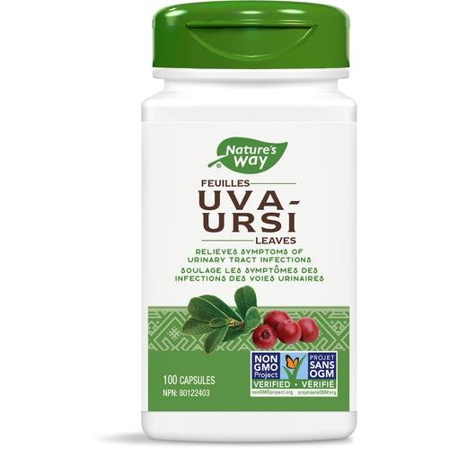 Uva Ursi - 480 mg  / 100 Caps