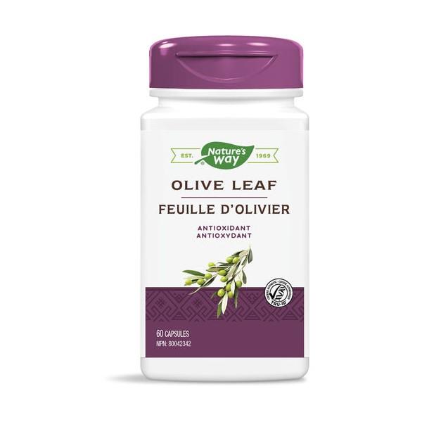 Olive Leaf - 60 Caps