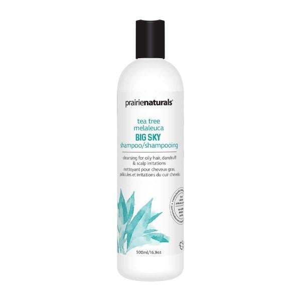 PN SHAMPOO BIG SKY 500ml