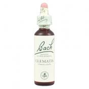 Bach Flower Remedy Clematis - 20ml