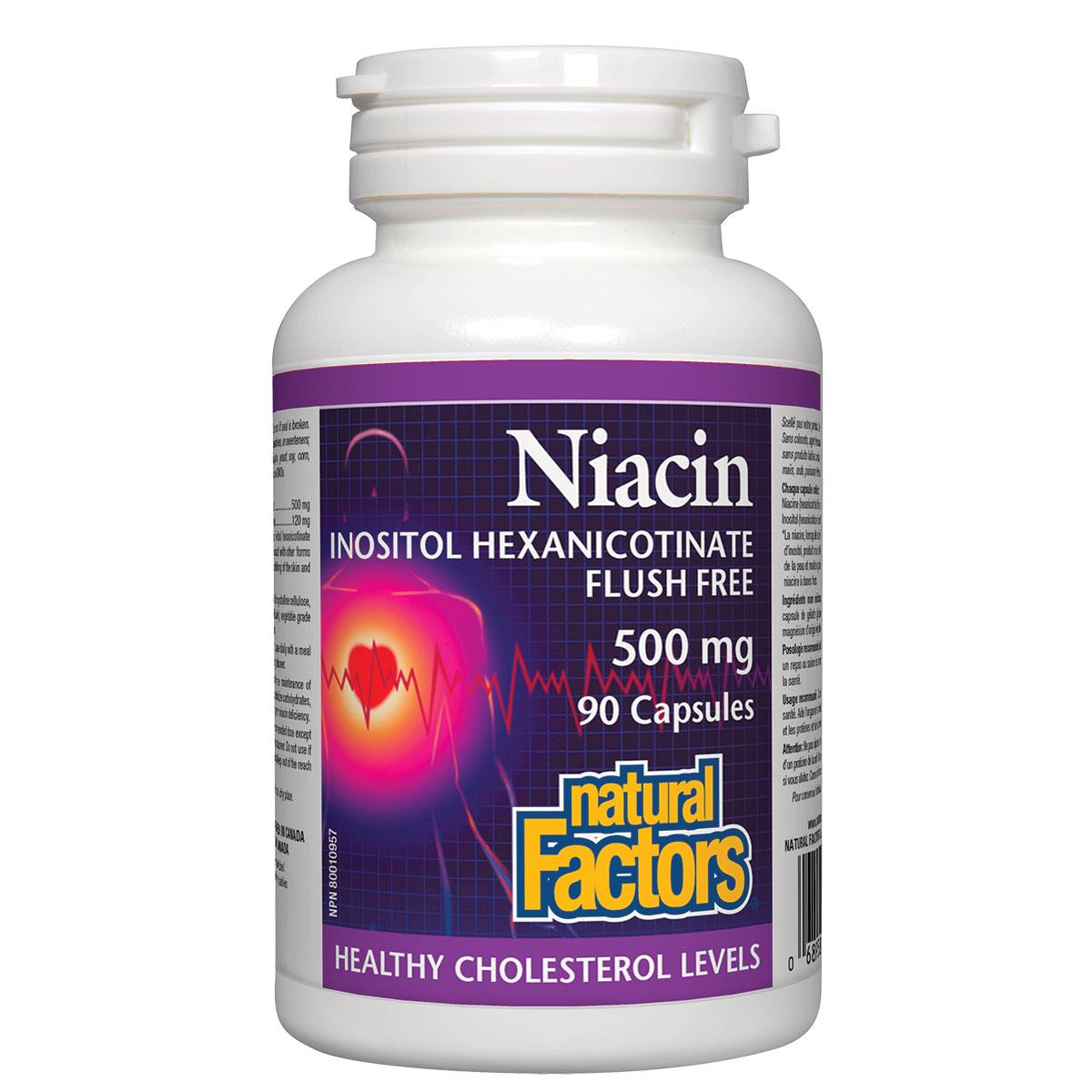 Natural Factors Niacin (Vitamin B3) Flush Free 500mg 90 Caps - Homegrown Foods, Stony Plain