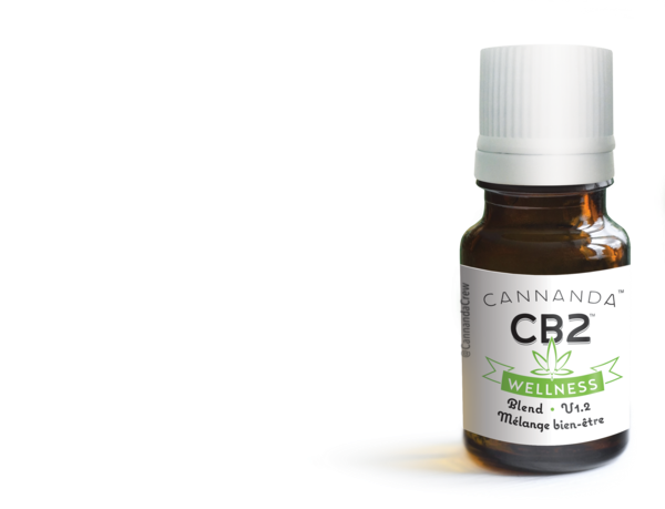 CANNANDA CB2 WELLNESS  15ML