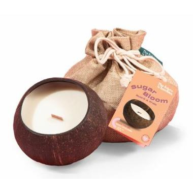 THE FUTURE IS BAMBOO COCO CANDLE SUGAR BLOOM 