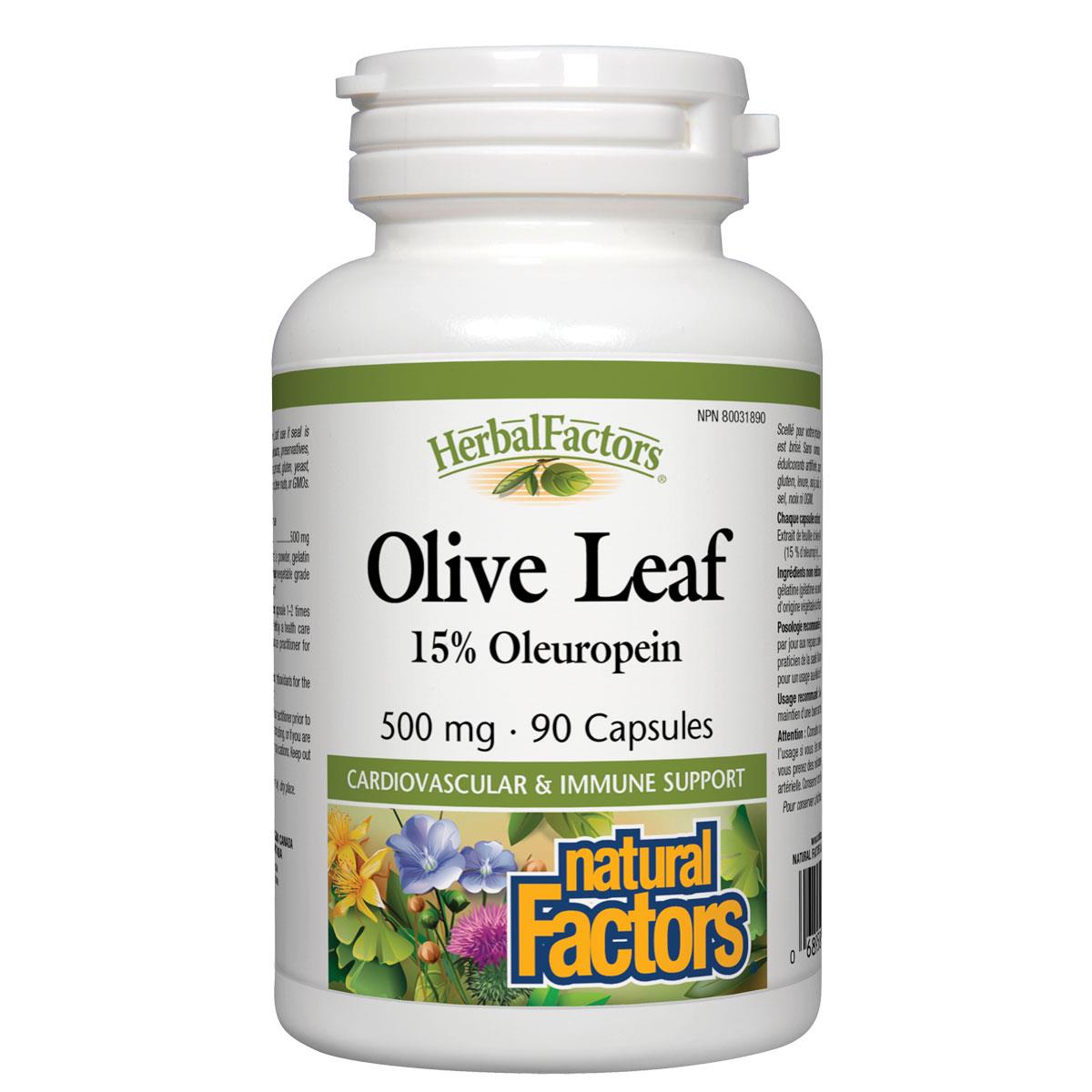 Natural Factors Olive Leaf, 500mg - 90 Caps - Homegrown Foods, Stony Plain